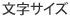 �����T�C�Y