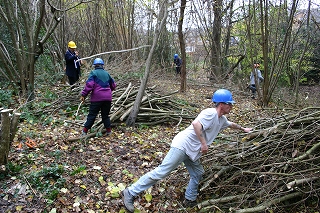 Hilverts Wood